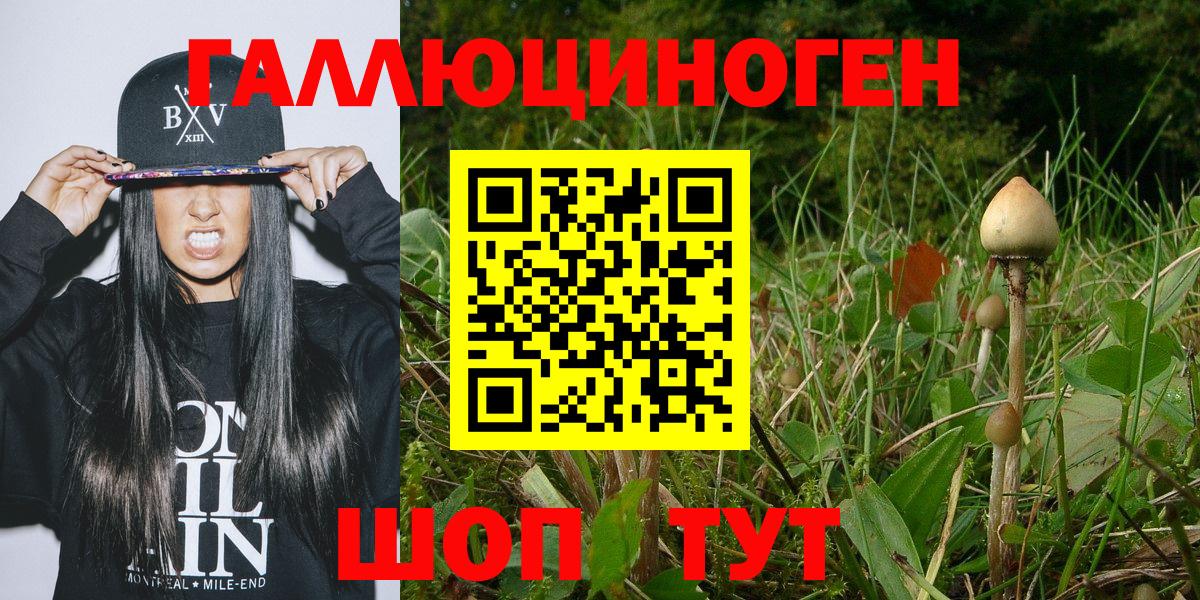 Звенигород  Галлюциногенные грибы мицелий  Вход с VPN 